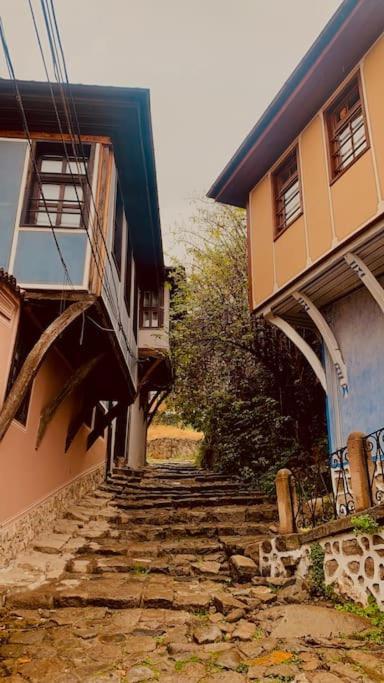 Elephant House Plovdiv Eksteriør billede